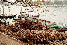 Transporting Trees for Furniture and Other Uses - Bangladesh