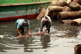 Transporting Trees for Furniture and Other Uses - Bangladesh