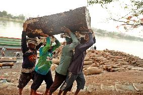 Transporting Trees for Furniture and Other Uses - Bangladesh