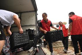 Flood Control Supplies To Rongjiang