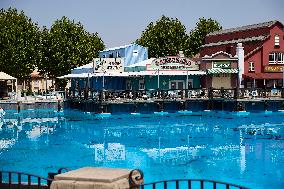 Summer 2025 at Warner Park & Beach - Madrid