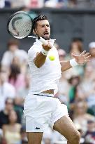 Tennis: Wimbledon championships