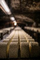 President Macron At cellar of the Roquefort Societe - Roquefort-sur-Soulzon
