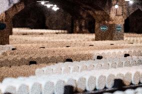 President Macron At cellar of the Roquefort Societe - Roquefort-sur-Soulzon