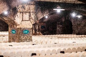 President Macron At cellar of the Roquefort Societe - Roquefort-sur-Soulzon