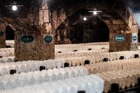 President Macron At cellar of the Roquefort Societe - Roquefort-sur-Soulzon