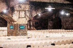 President Macron At cellar of the Roquefort Societe - Roquefort-sur-Soulzon