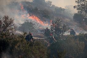 Wildfire on Greek Island of Crete Forces Evacuation of 1,500