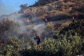 Wildfire on Greek Island of Crete Forces Evacuation of 1,500