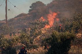 Wildfire on Greek Island of Crete Forces Evacuation of 1,500
