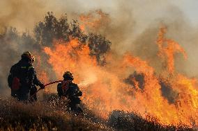 Wildfire on Greek Island of Crete Forces Evacuation of 1,500