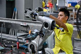 Robotics Industry - China