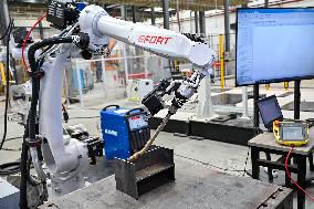 Robotics Industry - China