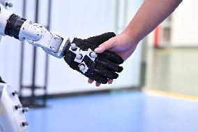 Robotics Industry - China