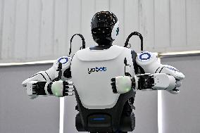 Robotics Industry - China