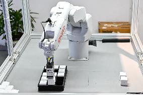 Robotics Industry - China