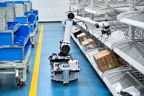 Robotics Industry - China