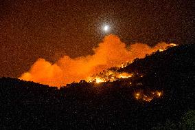 Two Dead as Wildfires Rage Near Turkish Resort of Izmir