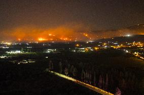 Two Dead as Wildfires Rage Near Turkish Resort of Izmir