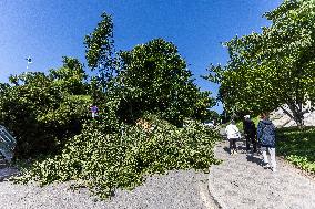 Storm warning in Estonia