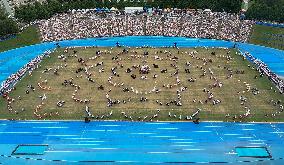 The XXVIII Song and XXI Dance Festival