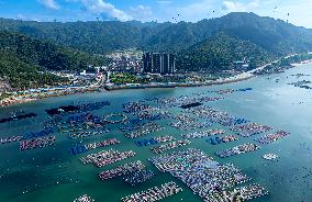 Aerial Views Of Intelligent Mariculture Platforms - China