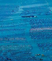 Aerial Views Of Intelligent Mariculture Platforms - China