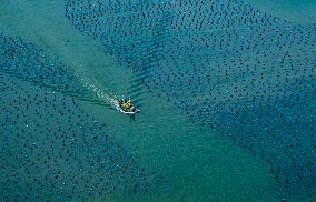 Aerial Views Of Intelligent Mariculture Platforms - China