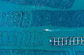 Aerial Views Of Intelligent Mariculture Platforms - China