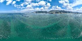 Aerial Views Of Intelligent Mariculture Platforms - China