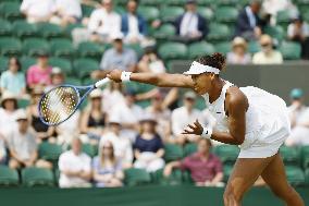 Tennis: Wimbledon championships