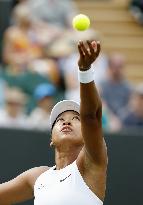 Tennis: Wimbledon championships