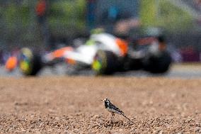 F1 British Grand Prix - UK