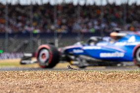F1 British Grand Prix - UK