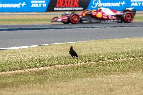F1 British Grand Prix - UK