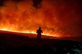 Izmir Wildfires - Turkey