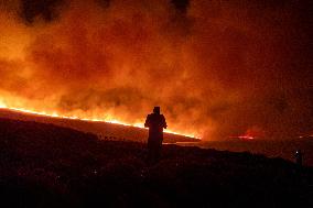 Izmir Wildfires - Turkey