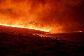 Izmir Wildfires - Turkey