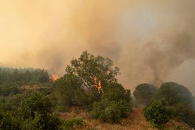 Izmir Wildfires - Turkey