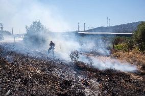 Izmir Wildfires - Turkey