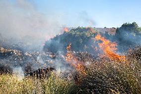Izmir Wildfires - Turkey