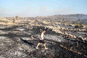 Izmir Wildfires - Turkey