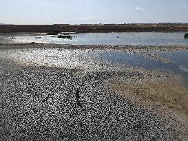 Water Crisis Strains Urban Water - Turkey