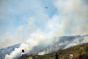 Izmir Wildfires - Turkey