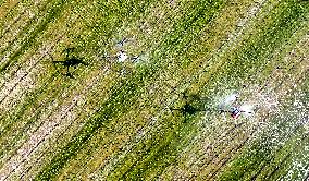 Agriculture Under High Temperatures