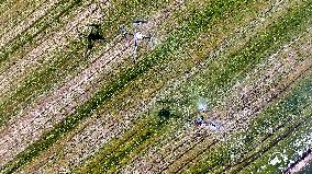 Agriculture Under High Temperatures