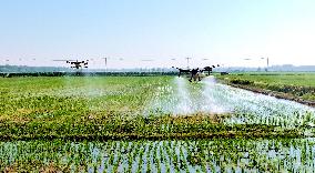 Agriculture Under High Temperatures