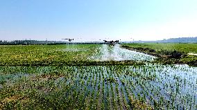 Agriculture Under High Temperatures