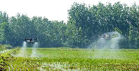 Agriculture Under High Temperatures