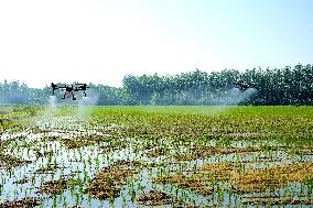 Agriculture Under High Temperatures